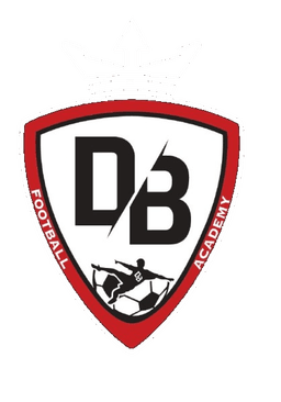 DB Academy Logo